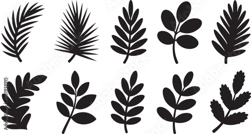 Ten black and white stylized leaf and fern frond icons and silhouettes on a white background leaves plant