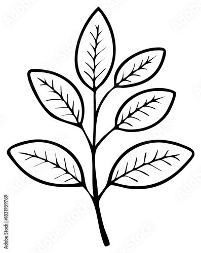 Minimalist botanical branch with leaves line art illustration. Simple sprig outline vector graphic.