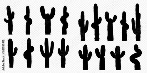 Silhouette illustration of various cactus plants on a transparent background.