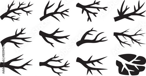 Twelve black silhouettes of bare tree branches and abstract branch forms Keywords: tree, branches, silhouette, bare, winter, nature, abstract, design, graphic, element, icon, isolated, white