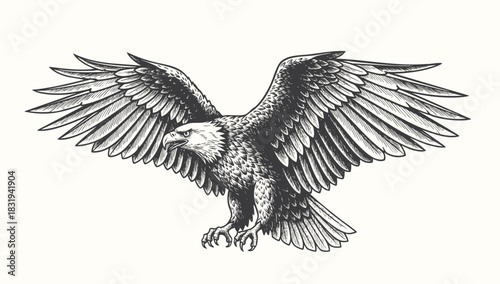 Eagle vector illustration design, flaying eagle
