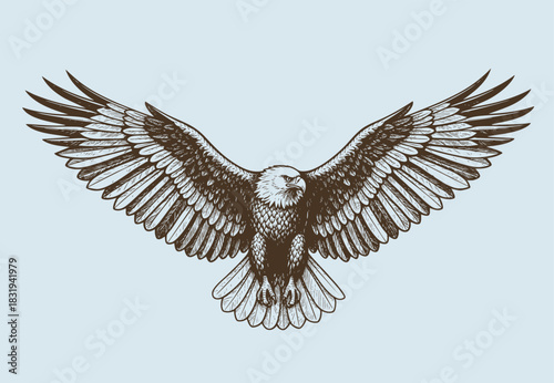 eagle flying ,sketch vector graphics monochrome illustration , Engraving