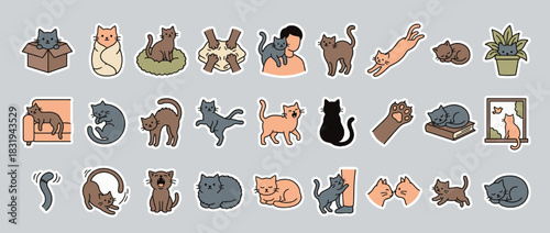 Cats icon set. containing playful, sleeping, stretching, cuddling, jumping, sitting, yawning, and more. Vector collection