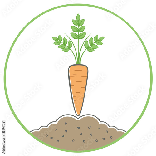 Illustration of a growing carrot vegetable with leaves within a green circle outline.