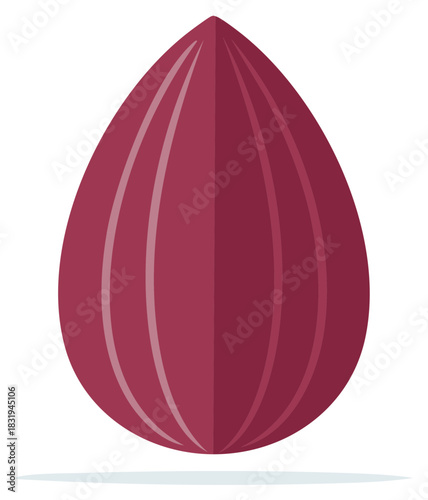 Vector illustration of a whole ripe almond with a burgundy skin and subtle lines