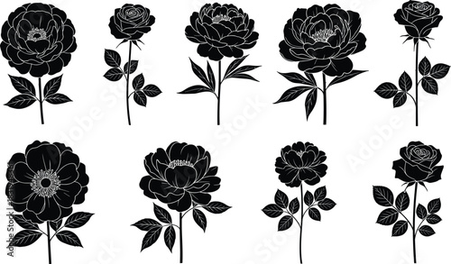Flower silhouette illustration, rose and peony icons, botanical vector design, black floral graphic, decorative nature elements, petal and stem shapes