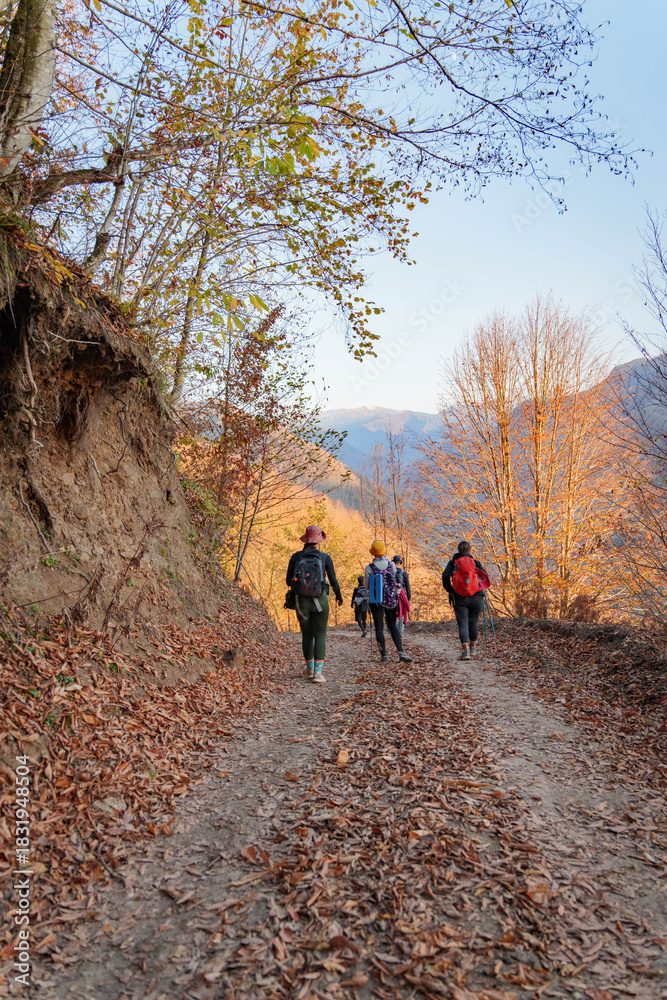Obraz premium Hikers Walking Through Leafy Forest Trail