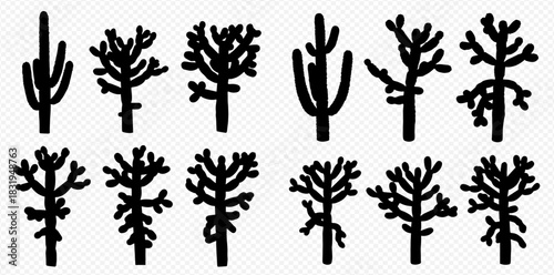 Silhouetted cholla cactus illustrations in a row, against a white background.