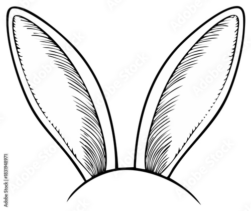 Hand drawn Easter bunny ears in a vintage line art sketch style illustration