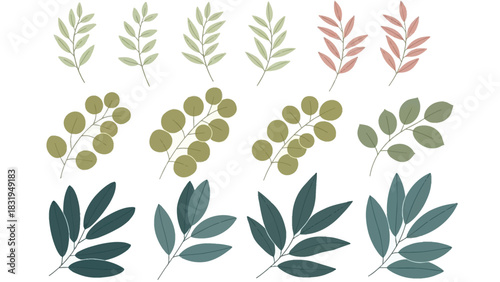 Collection of diverse botanical branch illustrations featuring various leaves and berry clusters in a vibrant color palette, perfect for design projects and natural themes