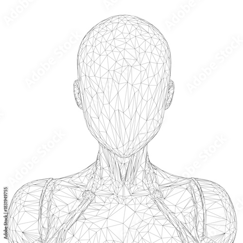 Polygonal robotic girl wireframe portrait with intricate geometric shapes and clean white background. This stylized 3D model features detailed facial structure and shoulder contours.