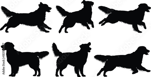 Golden Retriever silhouette, dog poses collection, running and standing dogs, pet motion graphic, black canine vector, animal posture illustration