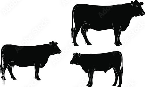 Silhouettes of cows standing in different poses, showcasing livestock shapes, farm animals, dairy cattle, agriculture elements, and rural farming illustration design
