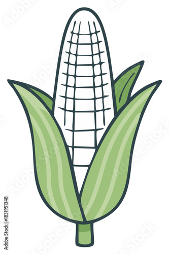 Cartoon corn illustration with green leaves, harvest season