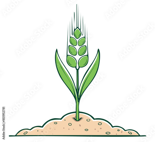 Single wheat stalk sprouting from sandy soil, representing harvest, agriculture, growth