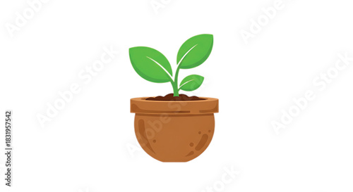 Young green plant growing in a simple terracotta pot, symbolizing new beginnings and growth.