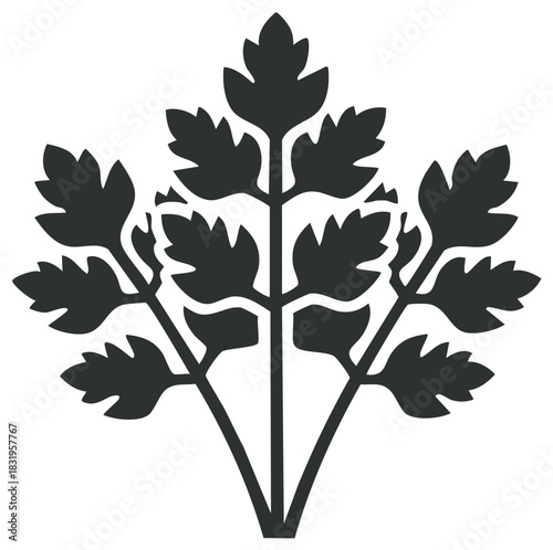 Stylized Parsley Leaves Icon Silhouette Isolated on White Background