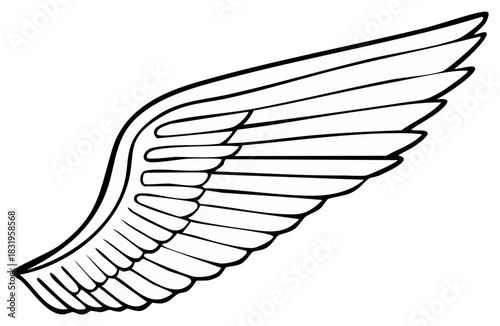 Detailed Black Outline Graphic of a Stylized Single Wing with Feathers