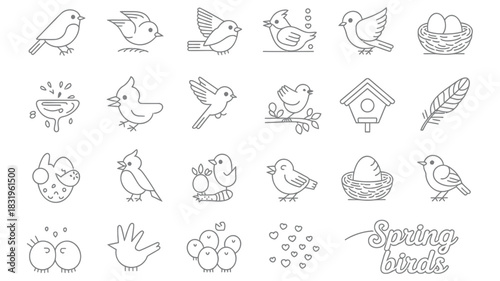 Collection of cute line art bird icons representing spring nature and family life