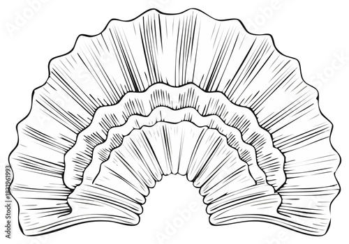 Black and white sketch of layered ruffled fan shapes creating an abstract arc