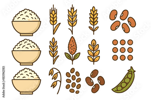 Various bowls of rice, ears of wheat, and different types of beans are illustrated in a simple style