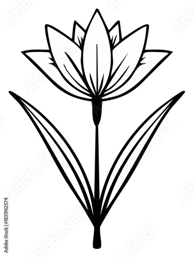 Elegant black and white line art drawing of a stylized blooming flower with leaves, botanical vector.
