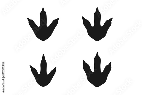 Footprints of a large bird found in the sand at a natural site during the early morning light