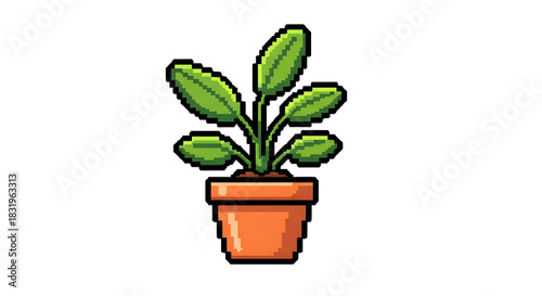 pot plant PNG illustration with simple pixel art style in a terracotta pot, minimal indoor plant icon suitable for digital design elements and decorative assets