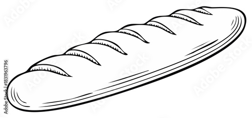 Ink drawing of a long loaf of bread, baguette, with detailed etchings, isolated, bakery product