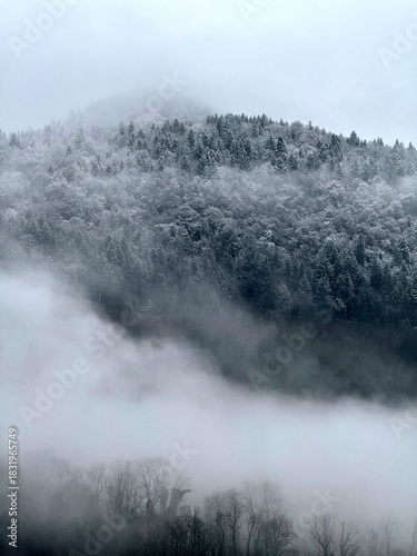 Winter fog in a snowy forested mountain