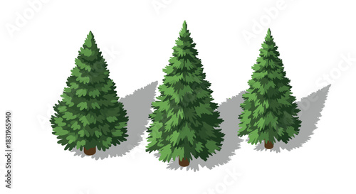 Isometric evergreen pine trees with shadows on white background