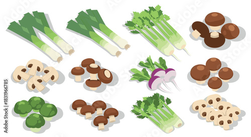 Fresh vegetables collection in modern isometric style with leeks, mushrooms, celery, and radishes