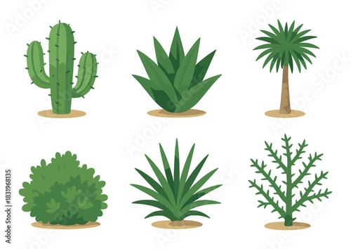 Variety of green plants: cactus, aloe vera, palm, shrub, agave, desert bush