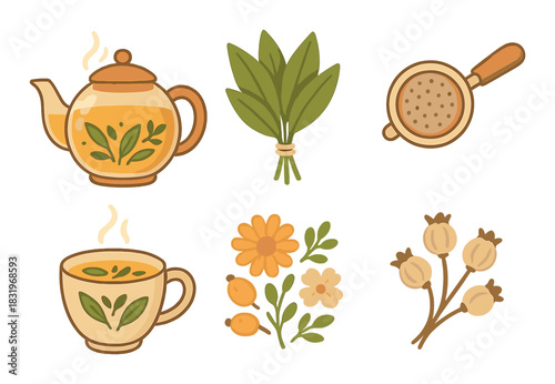 Herbal tea elements illustration with teapot cup herbs and strainer