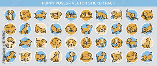 Dog and puppy poses icon set. featuring playful, sitting, sleeping, and running dog illustrations. Vector collection