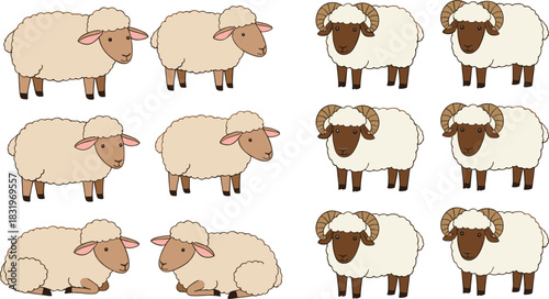 Cute Cartoon Sheep and Ram Poses Collection with Farm Livestock Characters Flat Vector Illustration Set