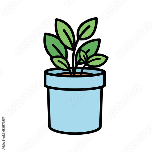 Potted plant with green leaves, indoor gardening and home decor nature care