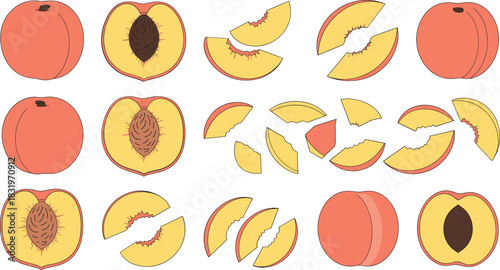 Hand Drawn Peach Fruit Collection with Whole Halves and Slice Pieces Decorative Flat Vector Illustration Set