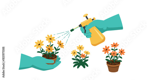 Gardening with sprayer: hand watering potted flowers for plant care