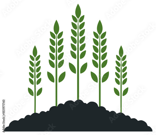 Green wheat stalks growing from soil, vector illustration for agriculture, farming, and growth concepts