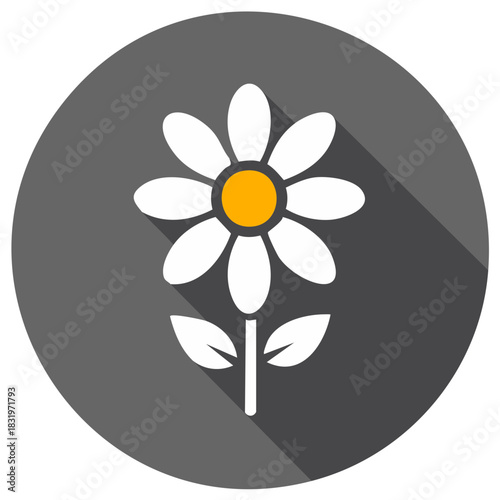 White Daisy Flower Flat Icon with Shadow on Gray Circle Minimalist Design