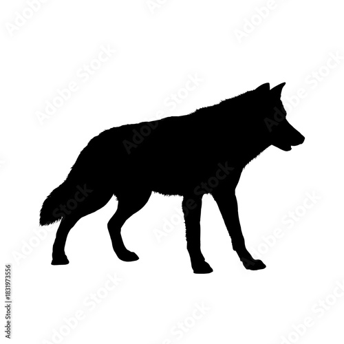 wolf silhouette - vector illustration