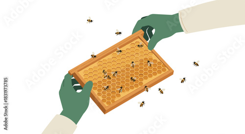 Hands holding honeycomb frame with bees in detailed isometric style