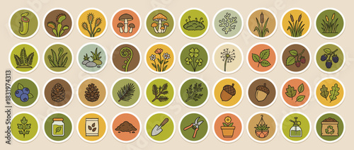 Botanical icon set. featuring mushroom, leaf, berry, fern, acorn, dandelion, pinecone, xerophyte, terrarium, gardening tools. Vector collection