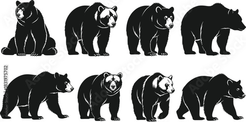 Black and White Bear Silhouette Poses Collection with Walking Standing and Sitting Wild Animal Flat Vector Illustration