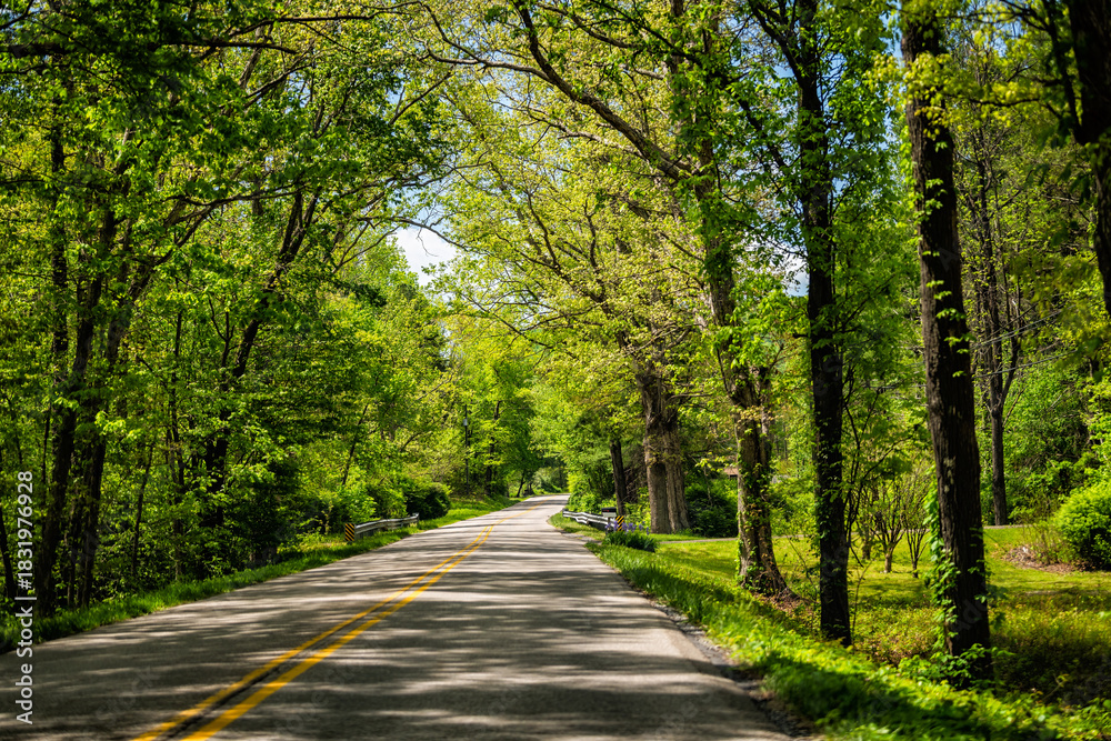 Naklejka premium Countryside rural paved road in Lyndhurst, Virginia summer season with lush trees forest and woods