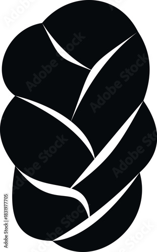 Hair braid icon vector illustration on white background