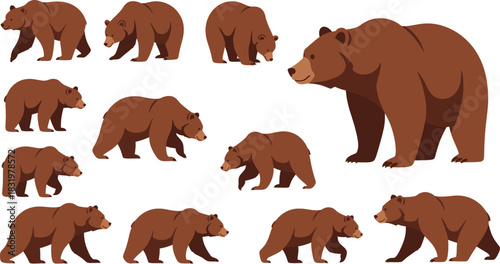 Cartoon Brown Bear Poses Collection with Walking Standing and Sitting Wild Animal Flat Vector Illustration Set