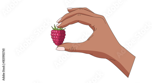 A cartoon hand with manicured nails delicately holds a single ripe raspberry, emphasizing freshness and precision on a white background.