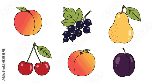 Various colorful fruit illustrations on a white background, featuring peaches, blackcurrants, pears, cherries, and plums.